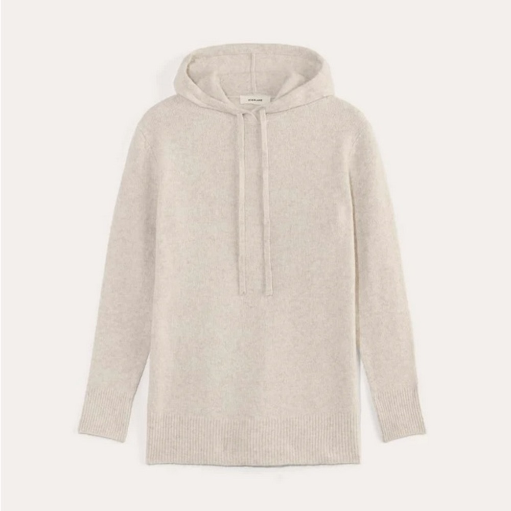 Everlane Oversized Hoodie in Plush Cotton